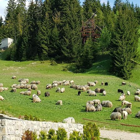 Enjoy The Silence Holiday Home Влашич Екстер'єр фото