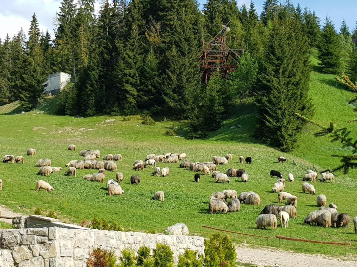 Enjoy The Silence Holiday Home Влашич Екстер'єр фото
